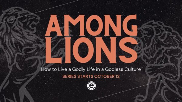 Among Lions
